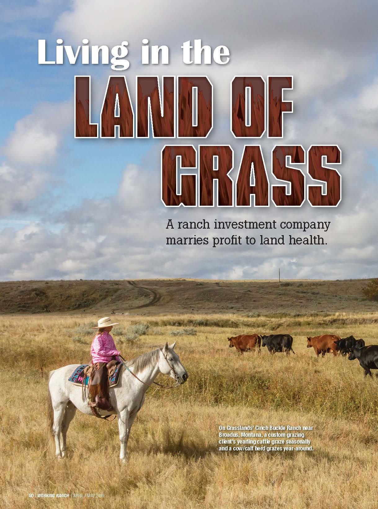 Working Ranch: Living in the Land of Grass